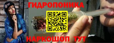 сатива Краснознаменск