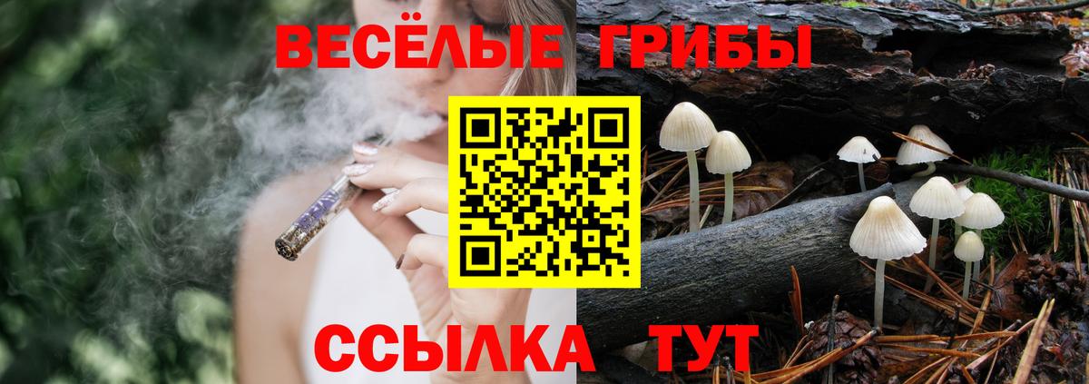 Галлюциногенные грибы мицелий Истра